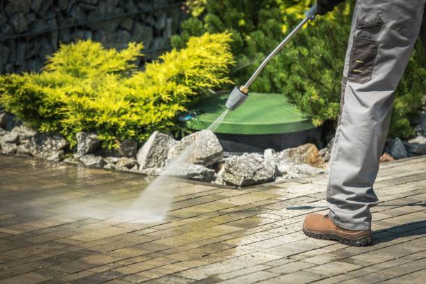 Best Sidewalk and Walkway Cleaning  in Manteno, IL